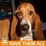 daisy belle
