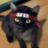 Noxious Ninja