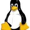 RoundDuckKira