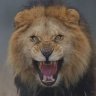 BigCatsByte