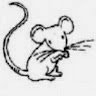 drmouse