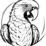 Aman16