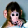 MonkeyMan
