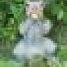 wildrat