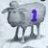 blaacksheep