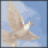 SpiritWind
