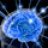 JellyBrain
