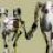 shaun056