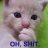 Mewdrill