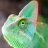 Chameleon777