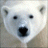 gary_hendricks