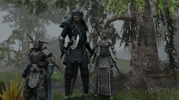 Pathfinder Online CEO defends subscription fees for Elder Scrolls Online