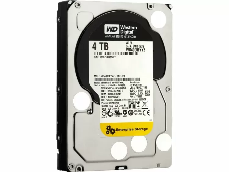 Western Digital SE Enterprise