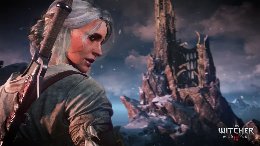 THE WITCHER 3: WILD HUNT