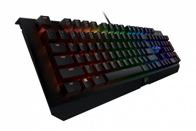 Razer Blackwidow X Chroma