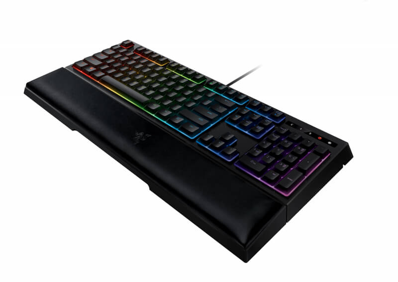 Razer Ornata