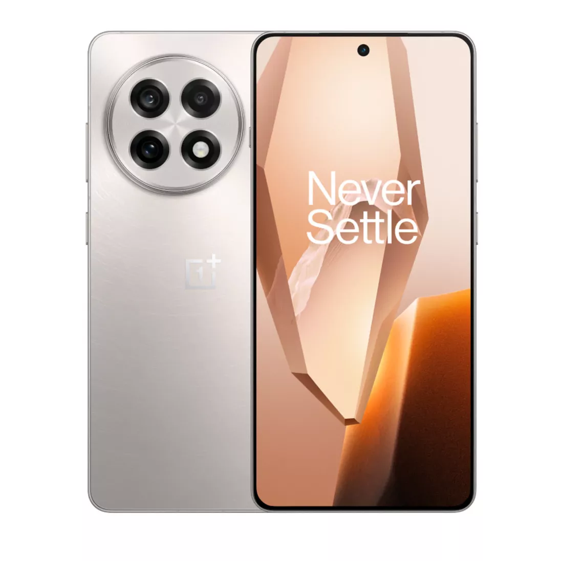 OnePlus 13R