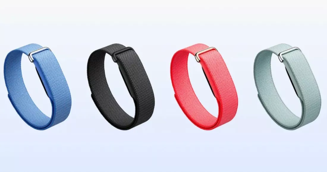 Google Fitbit Air