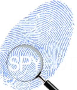 Spybot - Search & Destroy