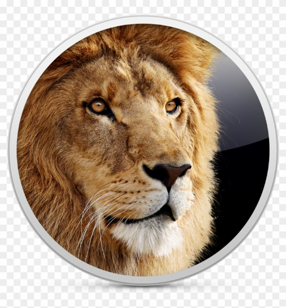 Mac OS X Lion Installer