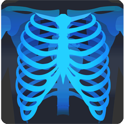 MicroDicom DICOM Viewer