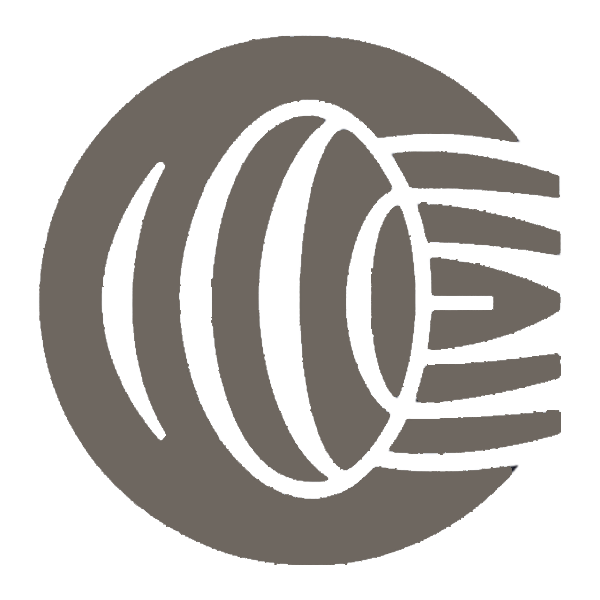 OptiScaler