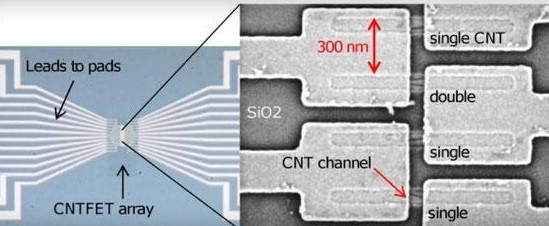 ibm carbon nanotube