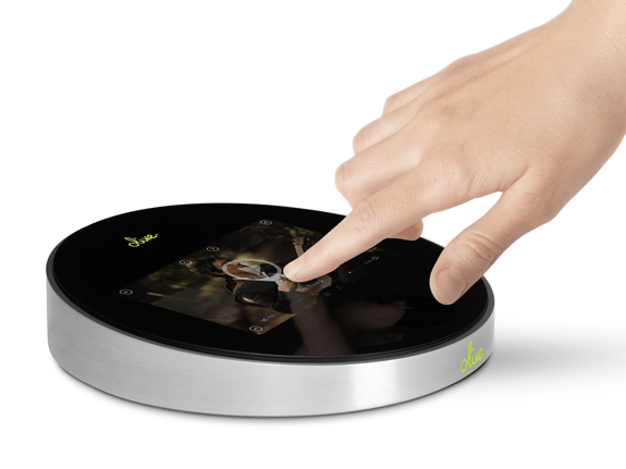 olive music player launches crowdfunding indiegogo olive one music player