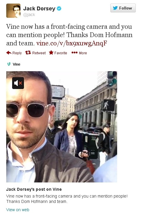 vine