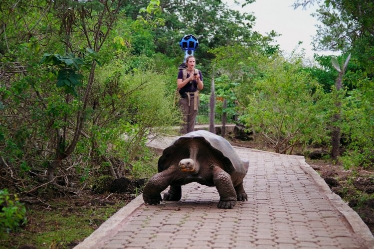 google galapagos islands street view
