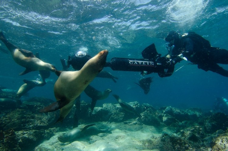 google galapagos islands street view