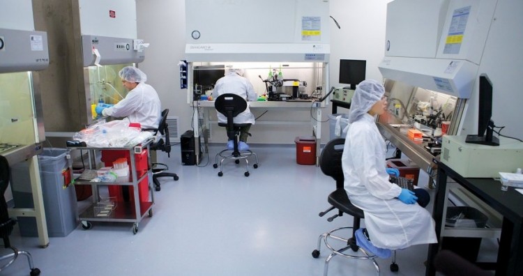 medical research 3d printer kidney liver