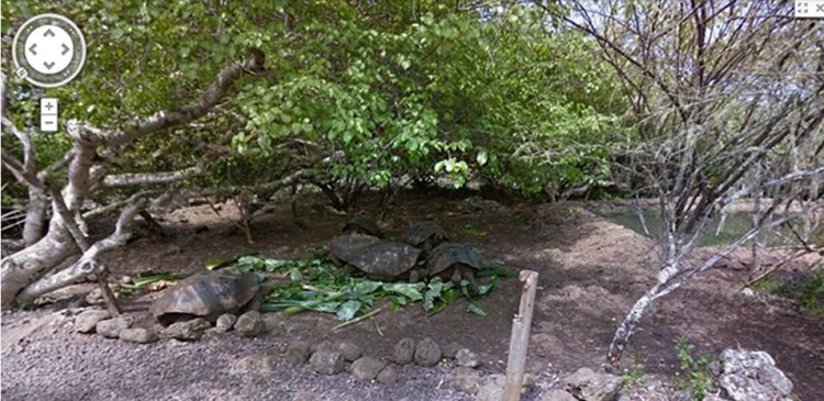 google galapagos islands street view research darwin biodiversity