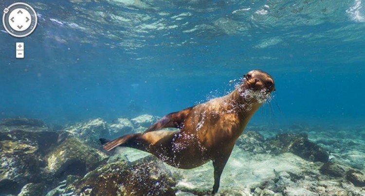 google galapagos islands street view research darwin biodiversity