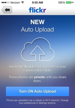 Flickr iOS 7 update allows you to auto upload full res photos to your 1TB of free storage