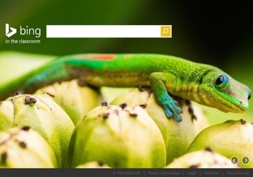 microsoft bing classroom