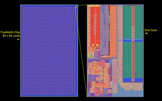 ibm darpa chip synapse defense advanced research projects agency human brain
