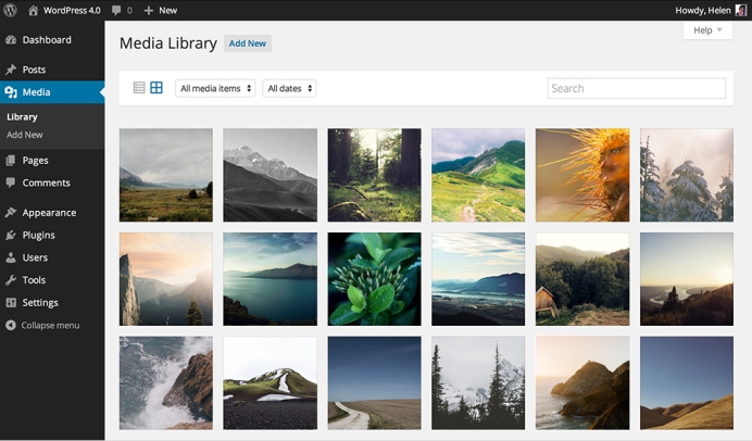wordpress blog content management system cms