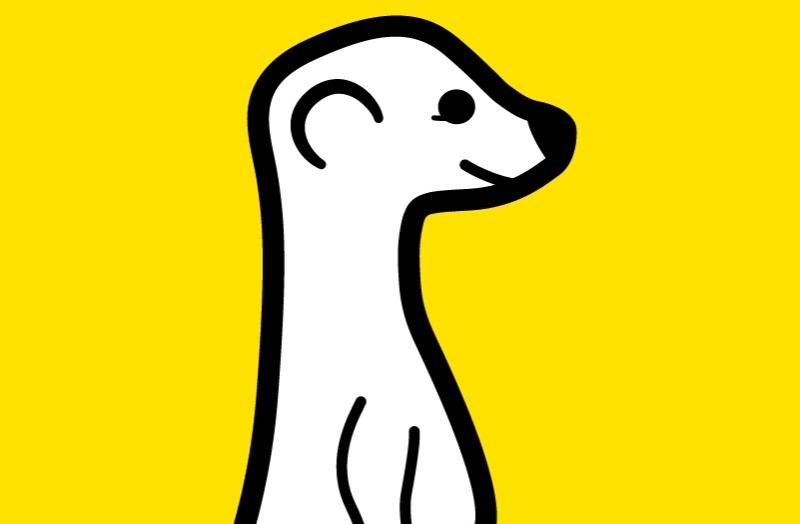 Live video streaming poised to make a comeback with Meerkat