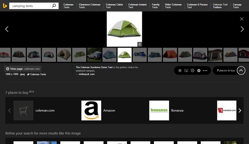 Bing image search now shows related searches, related Pinterest collections, where to buy and more