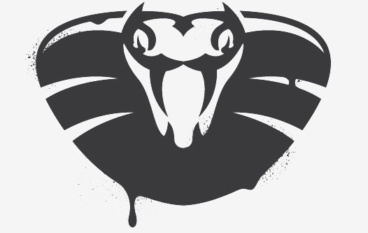 Venom vulnerability more dangerous than Heartbleed, targets most virtual machines
