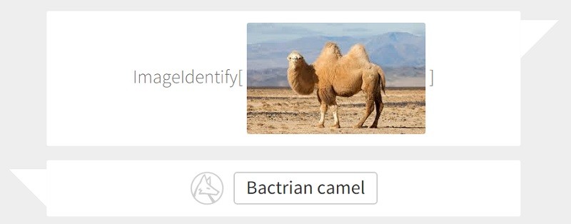 Identify what's in your photos with Wolfram's new website