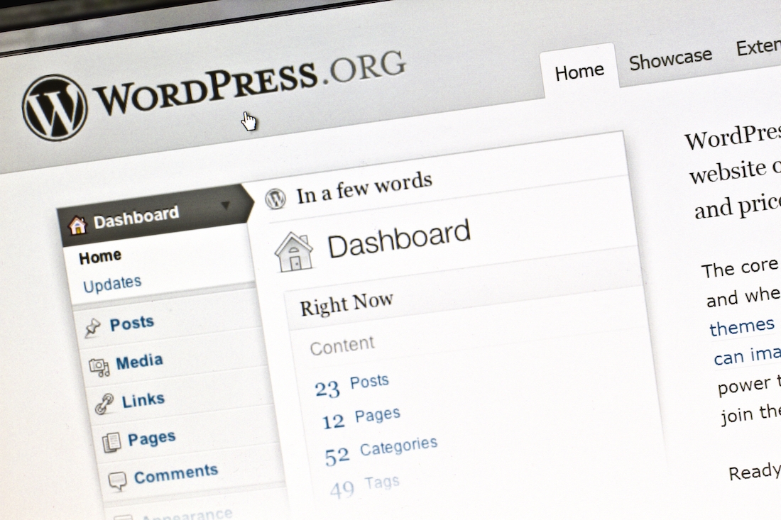 Choose your own price for 12 WordPress training courses