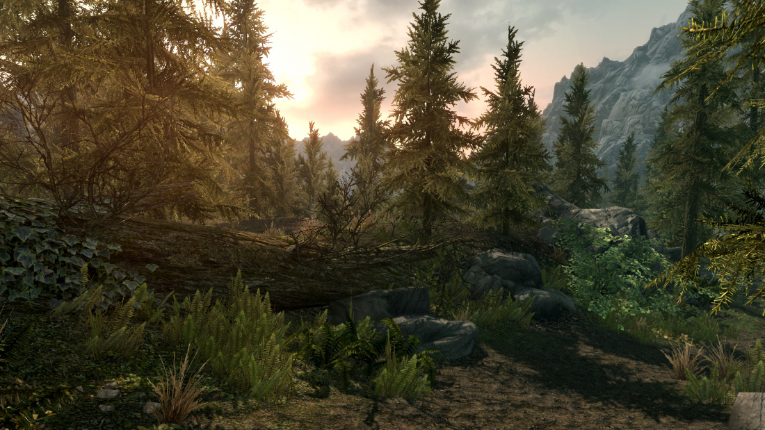 Comparing The Elder Scrolls V: Skyrim PS3 To Special Edition On