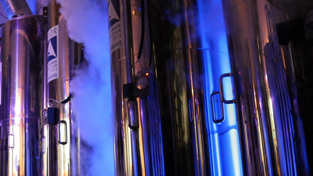 Teenager who died of cancer has her wish to be cryogenically frozen granted by court