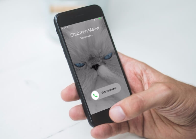 Encrypted communications app Signal gets video calling, CallKit integration