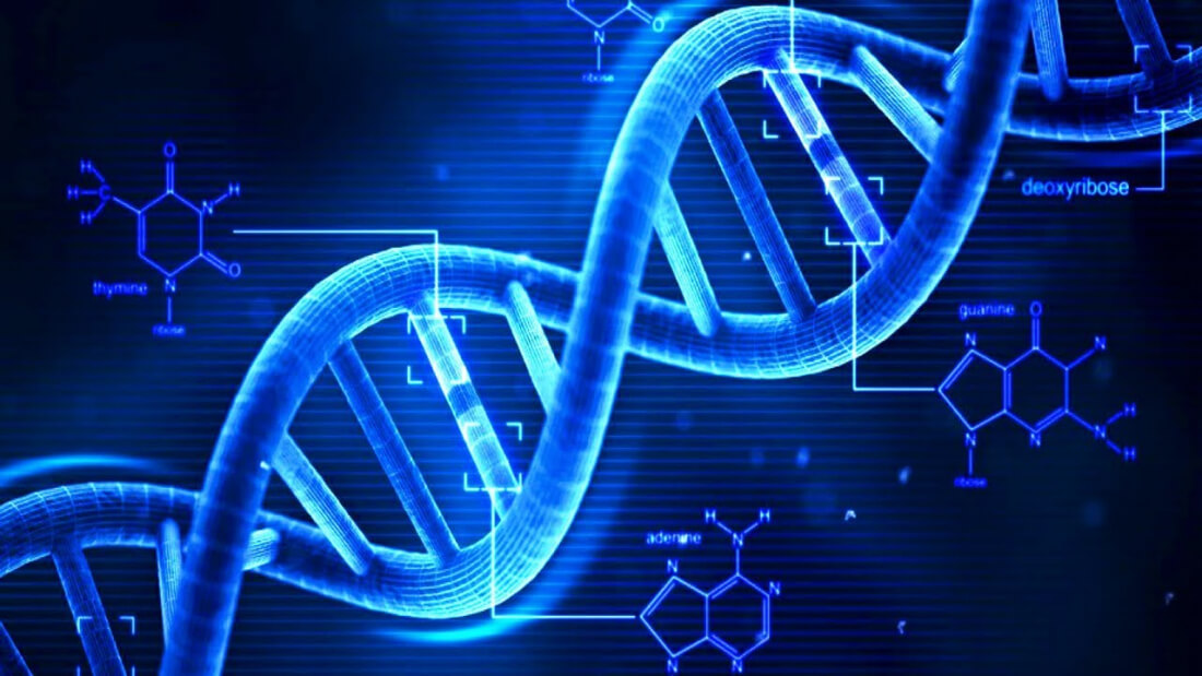 Biohackers sequence computer malware right into the strands of DNA