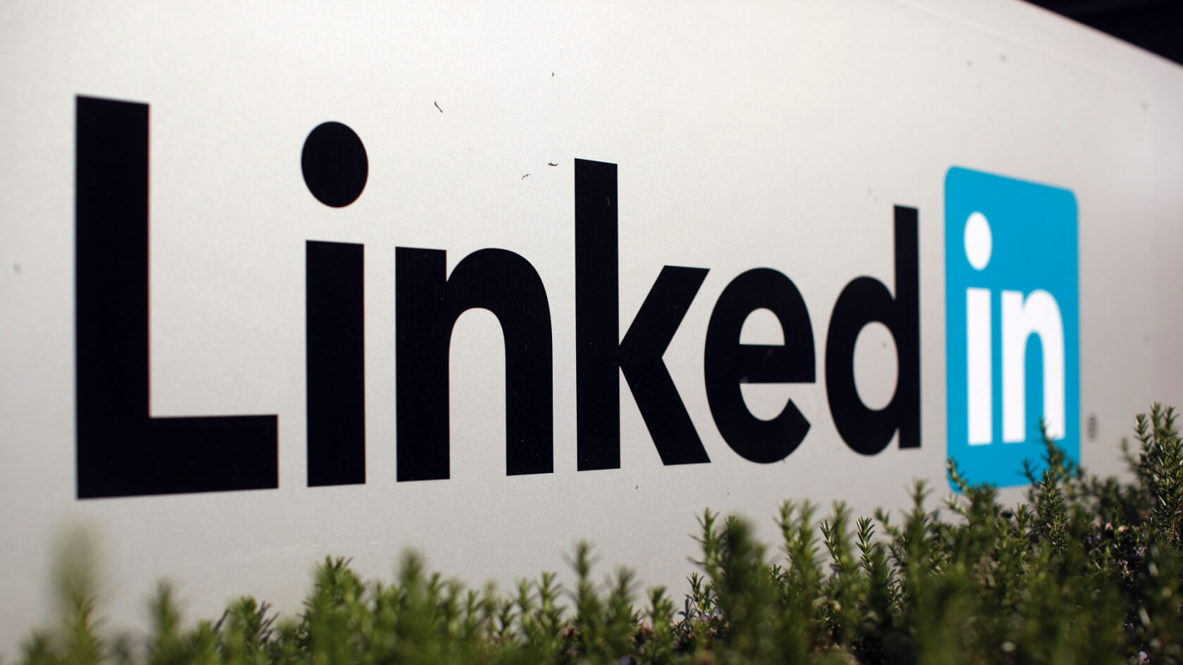 Judge rules against LinkedIn in legal fight over its members' public data