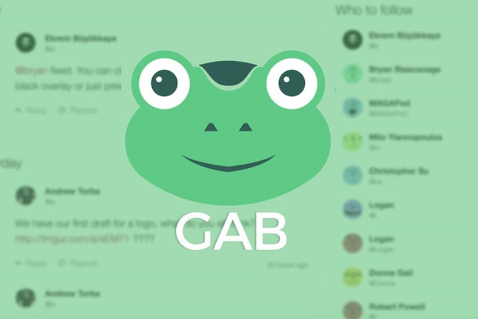 Gab website offline after GoDaddy pulls support