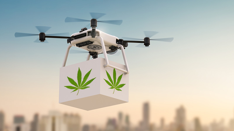 California prohibits drones from delivering marijuana